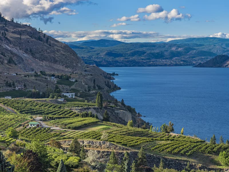 Summerland winery tour